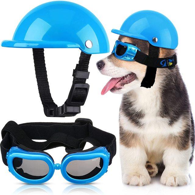 Capacete E Óculos Para Cachorros - Petit Helmet - OCEANSPRIME