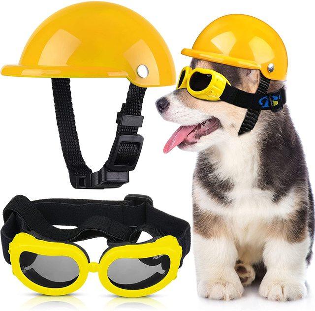 Capacete E Óculos Para Cachorros - Petit Helmet - OCEANSPRIME