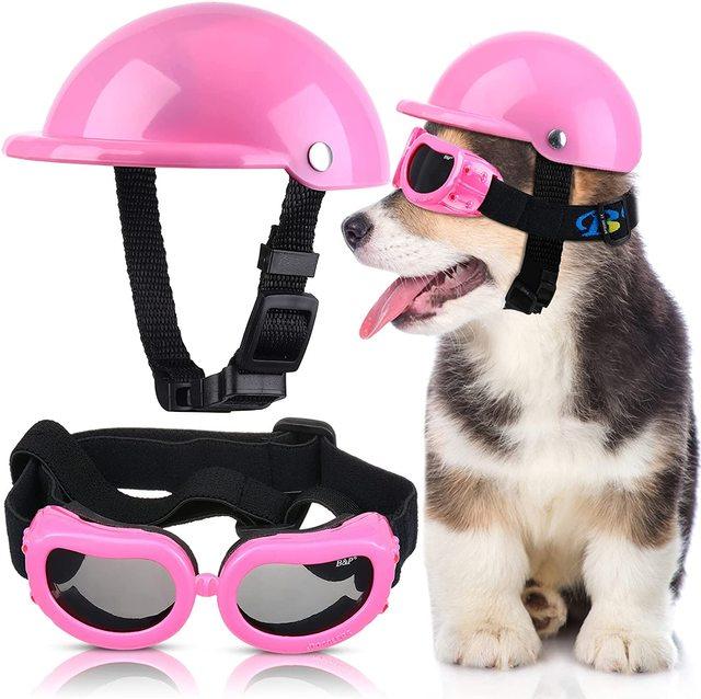 Capacete E Óculos Para Cachorros - Petit Helmet - OCEANSPRIME