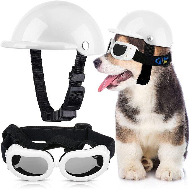 Capacete E Óculos Para Cachorros - Petit Helmet - OCEANSPRIME