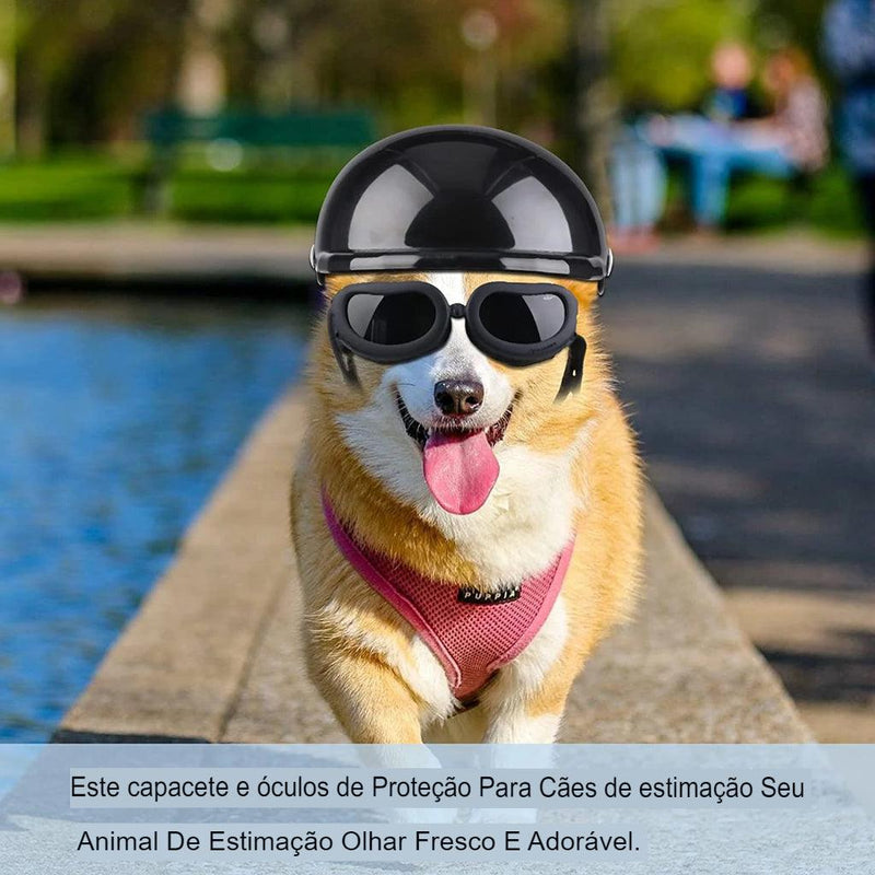 Capacete E Óculos Para Cachorros - Petit Helmet - OCEANSPRIME